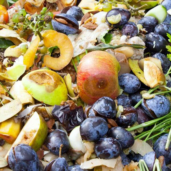 Food-Waste_600x600
