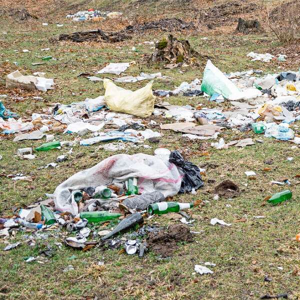 outdoor-event-waste-management
