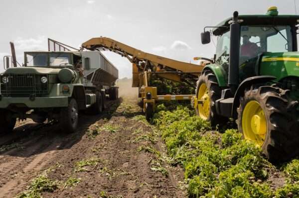 Agricultural waste management